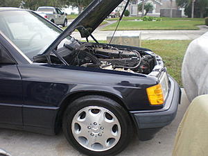 Lets See Some w201's-picture-035.jpg
