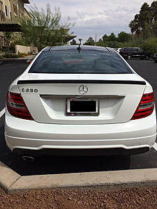 Blacked out grille/spoiler-photo-2-.jpg