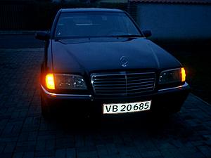 w202 s600 grille-cimg0031.jpg