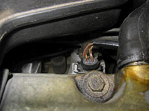 Cover Breather Hose Cracked-engine-harness-2.jpg