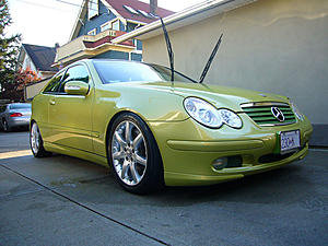 Looking for a Citron Green Coupe-p1020680.jpg