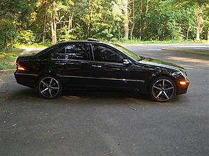 Pictures!!!!!!!!!!-cimg4104.jpg