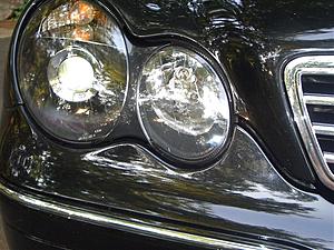 Pictures!!!!!!!!!!-cimg4103.jpg