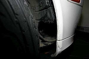 So, I hit a cat the other day...-img_0138.jpg