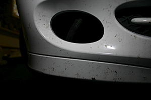 So, I hit a cat the other day...-img_0140.jpg