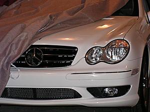 White C230- black or silver MRR GT-1?-resting-peacefully.jpg