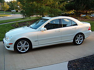 SPOTTED - White with tintted windows, Cleveland OH-picture-007.jpg