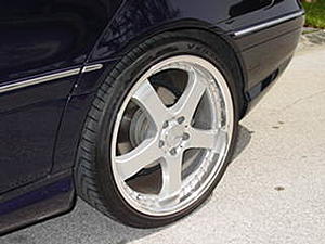 Comparison of an NZO Corsa and a Moven S5R (Carlsson 2/5 Rep)-4346dsc03204.jpg