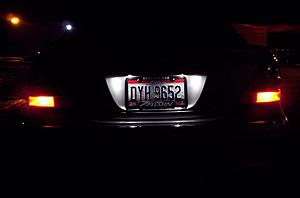 Hyper-White &amp; LED License Plate Lights thread-100_0792.jpg