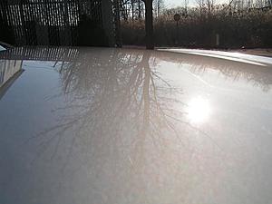 Finally a warm enough day to detail the car (TONS O' PICS)-pict2115.jpg