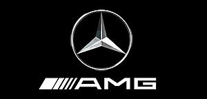 anyone have a nice MB/AMG logo for nav startup screen?-mb.jpg
