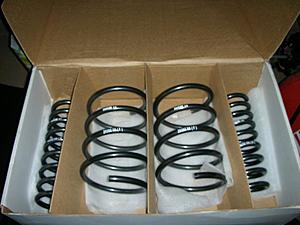 W203/CL203 Suspension (Shocks/Springs/Sway Bars) Discussion/Upgrade Thread-dscn2694.jpg