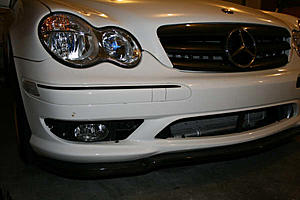 Who was it- pinstripe over the chrome mouldings?-img_0395.jpg