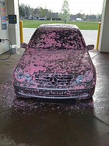 I hit a flock of flamingo's-flamingo.jpg