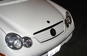 Has anyone painted the facelift grille body color?-grill.jpg