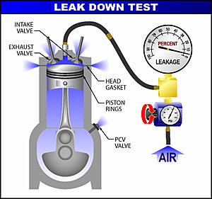 Oil Message Really in Need of Help-leakdown.jpg