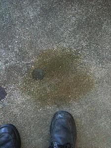Right front wheel fluid leak??-fluid.jpg