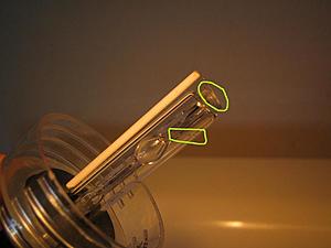 Look what I found + How dumb I was-ruined-bulbs.jpg