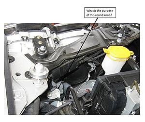 Headlight Question - Round Knob on the Headlight-w203hellaheadlight.jpg