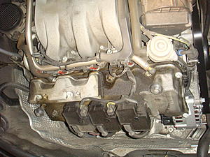 Oil on top of the engine - problem? Normal? Pictures-dsc05238.jpg