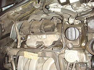 Oil on top of the engine - problem? Normal? Pictures-dsc05239.jpg