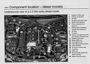 WHERE IS THE FUEL FILTER LOCATED ON A 2007 MODEL CD220-component-layout-220-cdi.jpg