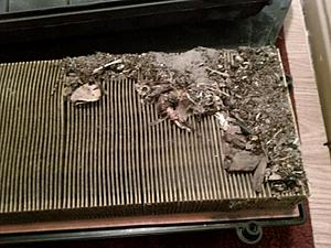 New C320 Owner-airfilter1.jpg