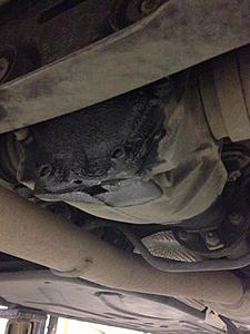 Cause for Concern?-image-1043267686.jpg