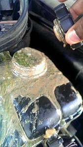 Oily Residue in Radiator Reservoir-video0030_-000000001.jpg