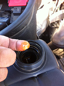 Oil in Coolant Tank.-a301b9c3.jpg