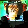 Personalized Vanity/Custom License Plate / Tags for W203/CL203 thread-yoyito.jpg