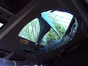 Subwoofer replacement DIY-dsc00169.jpg