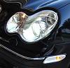 LED's for the sidemarkers?  Anyone try these?-newm.jpg