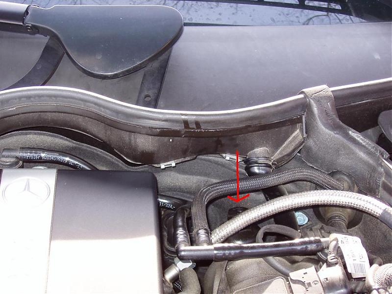 2005 c230 kompressor oil number