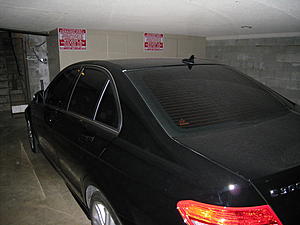 tints and corners oh my-rear.jpg
