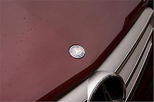 2008 CClass Front Hood Emblems-whitestarwithgrill-small.jpg