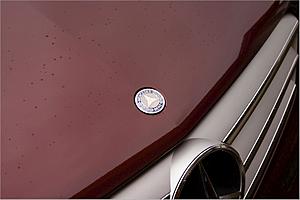 NEW Mercedes WHITE STAR Flat Badge for All W204 Hoods!-whitestarwithgrill-small.jpg