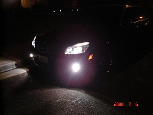 fogs and pics-fogs.jpg