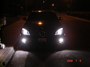 fogs and pics-fogs2.jpg