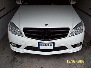 PAINTED GRILL WIT CARBON FIBER ACCENTS-gril-001.jpg