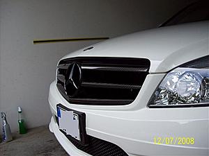 PAINTED GRILL WIT CARBON FIBER ACCENTS-gril-004.jpg