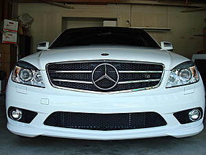 c63 Grill Installed from Ebay on White c350 with pano and Dark tint, looks sick! Pics-dsc01930.jpg