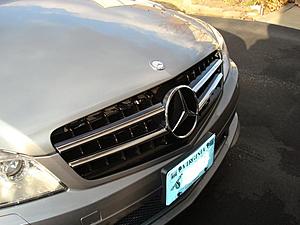 anybody have new grilles??-dsc02758.jpg