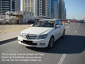 bumper and fogs-01.jpg