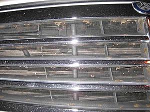 dead bugs stuck in evaporator coil-insect-screen.jpg
