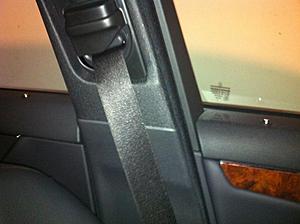 AMG Door Pins-locked.jpg