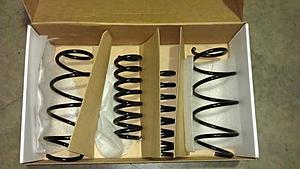 W204 C350 OEM Sports Springs-imag0028.jpg