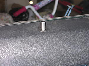 AMG Door Pins--img_1187.jpg