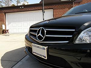 Black c300/c350 grill-p3260955.jpg