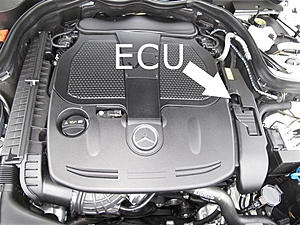 nobody can tell me where the ecu is-ecuc300.jpg